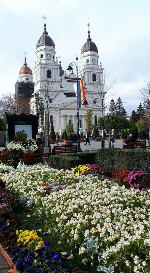 JAШИ-РОМАНИЈА ВО МАЈ